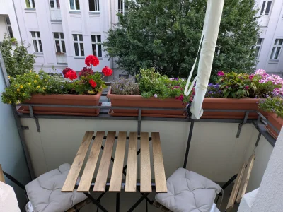 Vorschaubild 2