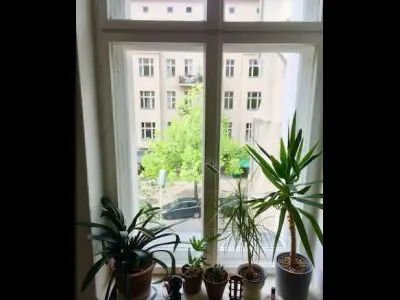 Vorschaubild 4