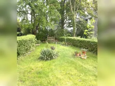 Vorschaubild 7