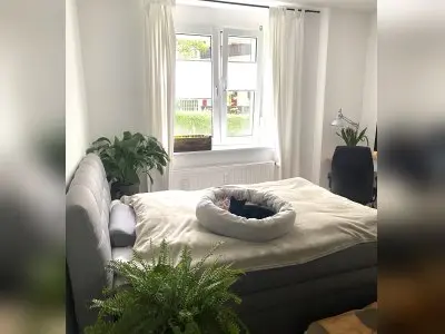 Vorschaubild 10