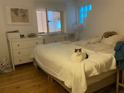 Vorschaubild 3