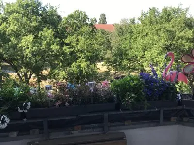 Vorschaubild 7