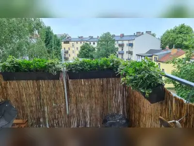 Vorschaubild 7