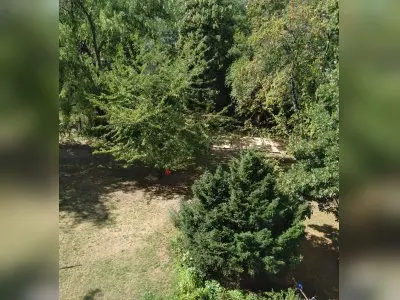 Vorschaubild 6