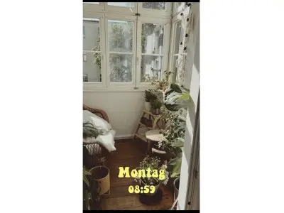 Vorschaubild 4
