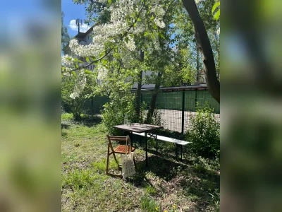 Vorschaubild 5