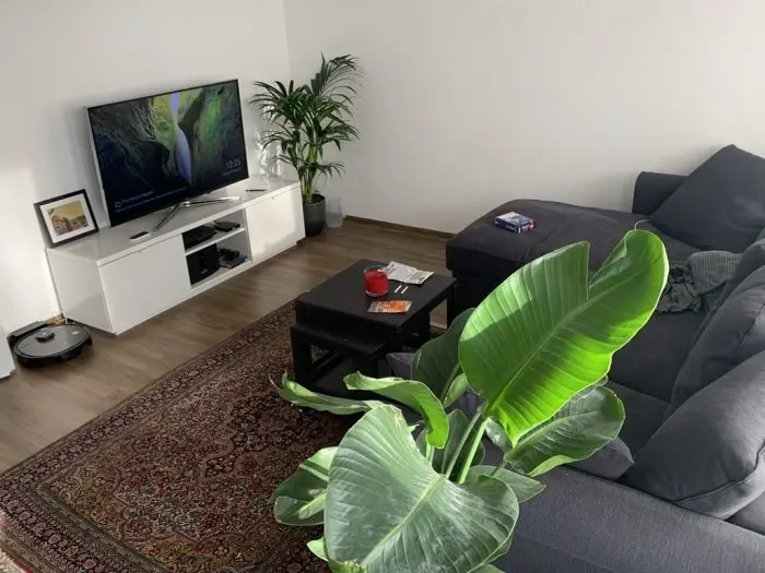 Vorschaubild 4