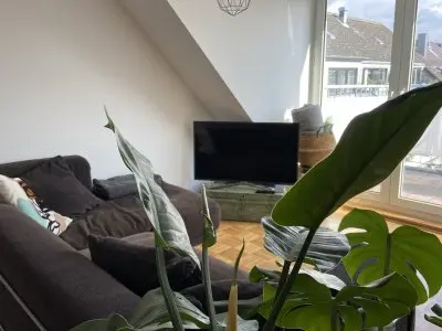 Vorschaubild 7