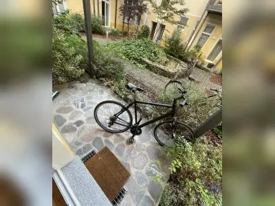 Vorschaubild 3