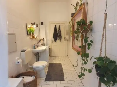 Vorschaubild 5