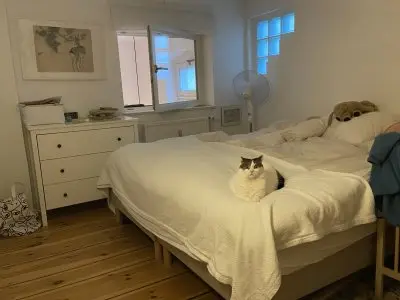 Vorschaubild 5