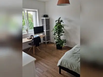 Vorschaubild 8