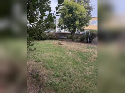 Vorschaubild 6