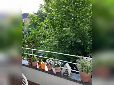 Vorschaubild 3